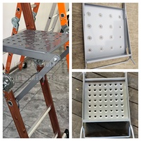 Échelles en aluminium multiples, grande plateforme en acier, plateformes de travail d'échafaudage