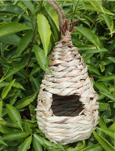 Cabane suspendue naturelle <span class=keywords><strong>en</strong></span> <span class=keywords><strong>forme</strong></span> <span class=keywords><strong>de</strong></span> <span class=keywords><strong>boule</strong></span> <span class=keywords><strong>d</strong></span>'herbe tissée à la main Cage <span class=keywords><strong>de</strong></span> <span class=keywords><strong>nid</strong></span> <span class=keywords><strong>de</strong></span> colibri Maisons <span class=keywords><strong>de</strong></span> colibri pour l'extérieur Jardin Patio Pelouse - Product Image 5