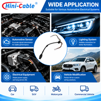 Connecteur de faisceau de câbles automobile étanche, assemblage de câbles personnalisé pour système d'éclairage et de capteurs de véhicule, fournisseur OEM