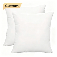Bantal Dalam Kotak Hipoalergenik (Paket 2 Buah) - 20" X 20" Sisipan Bantal Lempar dengan Ritsleting (50x50cm Putih)