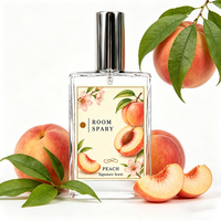 Diffuseur de parfum de luxe, parfum de marque privée, 100 ml, spray d'ambiance, parfum d'intérieur, flacon en verre, parfum longue durée