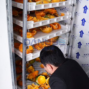 Eco-friendly Heat Pump Drying Oven Fructus Trichosanthis Dehydrator Machine Herb Drying Oven Room - Product Image 1
