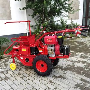 Offre Spéciale d'ensilage de maïs - Product Image 6