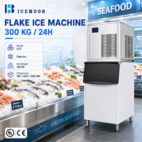 Machine à glaçons professionnelle pour supermarchés et présentoirs de produits frais, avec production de glaçons en flocons et assistance technique en ligne