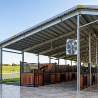 Nueva Estructura Metálica Personalizada para Granjas Agrícolas, Establos para Ganado Vacuno, Aves, Caballos, Cerdos y Cabras