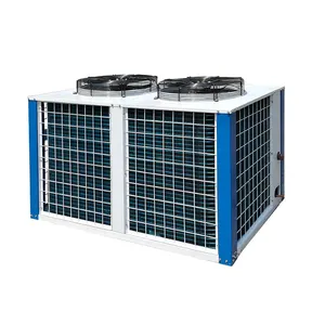 Factory Supply Box Type Condensing Unit With U Type Condenser To Fit Cold Room Cooling Unit