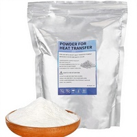Poudre DTF Verytack blanche 1 kg (35,3 oz) – Adhésif thermofusible pour sublimation numérique, prétraitement tous tissus, imprimantes DTG