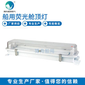 Lámpara Fluorescente LED JCY25-2E, Suministro Directo de Fábrica, Lámpara de Techo Marina, Lámpara de Dosel - Product Image 1