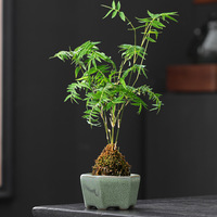 Pot Bunga Terakota Mini Berkaki Tinggi dengan Lubang Drainase Ukuran Kecil Gaya Vintage Rustic Bernapas Harga Spesial Cina Diskon