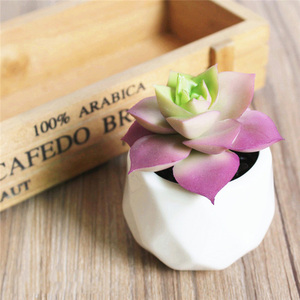 Venta al por mayor, nuevo diseño, Mini suculento con maceta de cerámica, plantas suculentas artificiales - Product Image 5