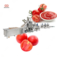 Ligne de production complète de purée de tomates à petite échelle, capacité de 2 tonnes par heure