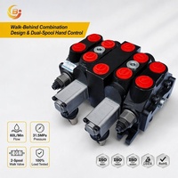 Vanne de commande directionnelle hydraulique combinée à 2 bobines DCV60 60L-Min avec commande manuelle pour machines compactes