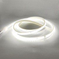 Bande lumineuse LED 220V sans fil 2835 double rangée 120 LED haute luminosité IP20 ABS intérieur extérieur maison CRI80 6000K/3500K 100lm/W