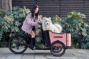 Vélo <span class=keywords><strong>cargo</strong></span> électrique à trois roues de style vintage avec assistance électrique, stock européen - Product Image 5