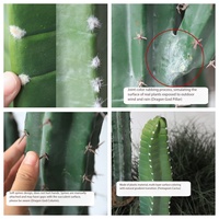 Cactus artificiel en plastique grand format, réaliste, en pot, style mexicain, pour aménagement intérieur – Vente directe usine