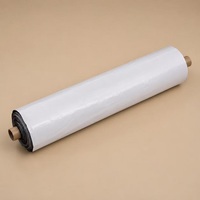 Film de paillage en polypropylène noir et blanc, épaisseur 0,02 mm-0,05 mm, rouleau de 500-2000 m, taille personnalisée, bâche plastique agricole pour culture