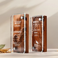 Trophées en bois et cristal personnalisés avec impression couleur intégrale MH-J013