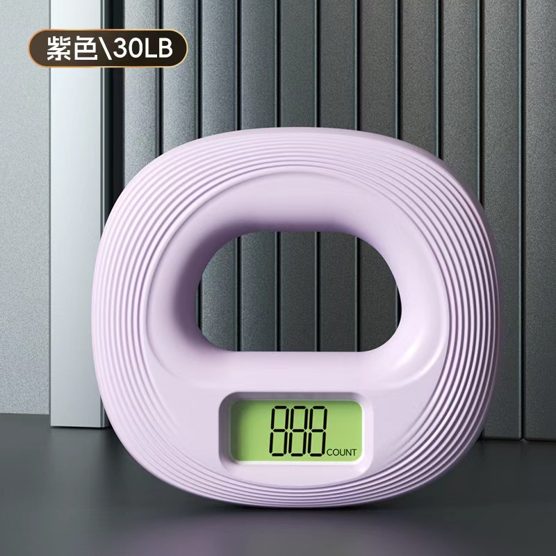 Lavender Purple 30LB [Precise Count] Box
