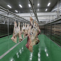 Machine de décongélation automatique pour viande congelée, équipement de décongélation à basse température et haute humidité pour usine de transformation alimentaire