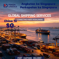 Expédition maritime DDP, livraison porte-à-porte au port de Singapour, entreposage à Singapour, garantie de départ ponctuel