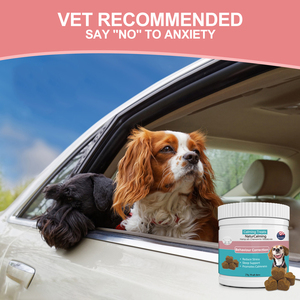 ผลิตภัณฑ์เสริมอาหารสุนัขช่วยแก้ไขพฤติกรรมให้สงบ - Product Image 6