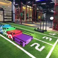 Gazon synthétique personnalisé, tapis de sport, tapis fonctionnel, studio de gym, pelouse artificielle pour salle de classe privée, piste de course, gazon artificiel