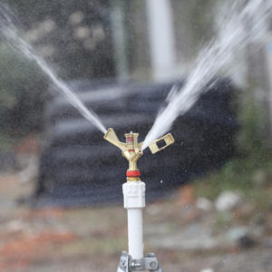 Aspersor de Brazo Oscilante de Aleación de Zinc de 4 y 6 Pulgadas con Doble Rociado Roscado para Riego Agrícola y de Jardín - Product Image 4