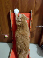 Nouvelle Arrivée : Griffoir Vertical en L Écologique pour Chat, en Feutre, Sans Débris, Jouet de Chasse pour Chat, Griffes Résistantes à l'Usure