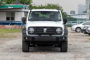 SUV tout-terrain tendance Tank 300, pneus 265/65 R17, vitesse maximale 170 km/h, adapté aux déplacements en extérieur et au quotidien - Product Image 3