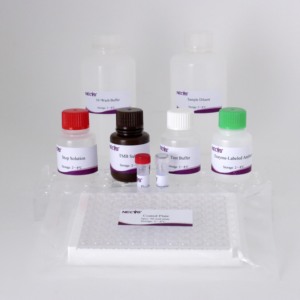 Kit de l'anticorps ELISA de <span class=keywords><strong>REV</strong></span> (96T) | CE certifié | Test de sérum aviaire | Commande en gros disponible - Product Image 4