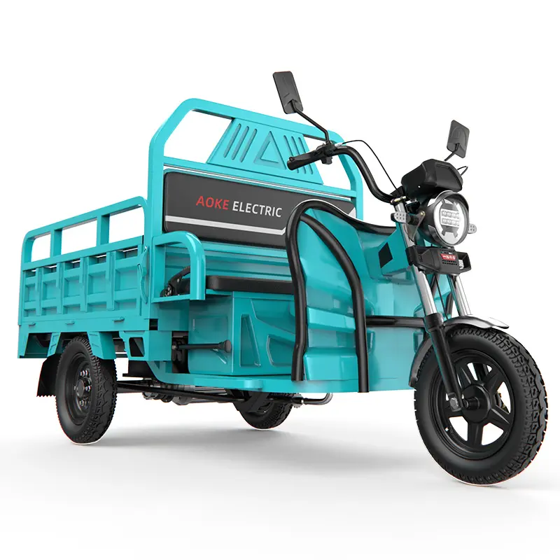 Factory direct sales High quality 48v 3 wheel motorcycle electric tricycles cargo Three-wheeled car