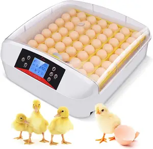 Hhd incubadora automática de ovos, 56 luzes led, máquina de incubadora de ovos para venda