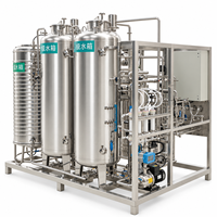 Machine de purification d'eau industrielle à ultrafiltration et polissage en deux étapes de 0,5 tonne pour le traitement des eaux de forage