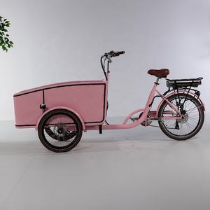 Tricycle électrique 10 pouces pour <span class=keywords><strong>famille</strong></span>, 3 roues, bicyclette avec siège coussin - Product Image 2