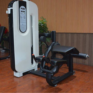 Équipement de <span class=keywords><strong>musculation</strong></span> de haute qualité Land Fitness, <span class=keywords><strong>machine</strong></span> à charges programmées pour le bas du dos, pour la <span class=keywords><strong>musculation</strong></span> - Product Image 2
