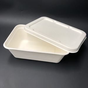 2025 nouvelle tendance 500ml jetable à emporter plateaux d'emballage alimentaire <span class=keywords><strong>plateau</strong></span> de viande de canne à sucre biodégradable pour supermarché - Product Image 4