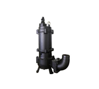 Pompes à eau immergées électriques de haute qualité CNP WQ en acier inoxydable pour les eaux usées
