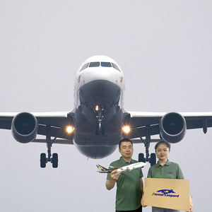 Amazon DDP FBA Aireexpress envío servicio de almacenamiento de China agente de carga a EE. UU. Canadá Europa - Product Image 3