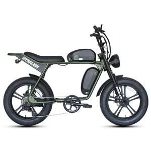 EU USA Dutch Warehouse Retro sepeda gunung Super elektrik 73 ban besar 20 inci 1000W e-bike 48V 16AH jarak jauh Fatbike