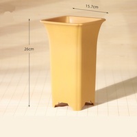 Pot de plantation d'orchidées en plastique carré classique de 15.5cm * 26cm