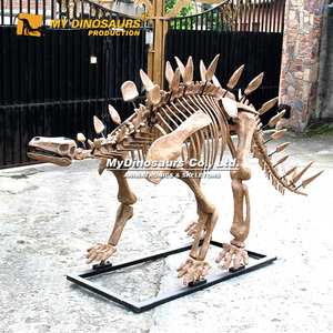 MY DINO DS065 Parque infantil Decoración al aire libre <span class=keywords><strong>Esqueleto</strong></span> de dinosaurio <span class=keywords><strong>Stegosaurus</strong></span> - Product Image 2