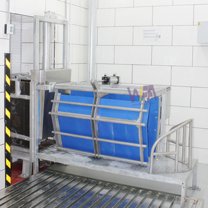 Equipo Móvil Completo para Matanza de Cerdos, Aturdidor de Carcasas de Cerdo, Maquinaria para Procesamiento de Carne de Cerdo, Caja de Aturdimiento, Matadero de Cerdos - Product Image 2