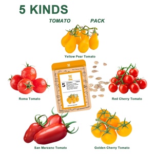 Tốt Nhất Bán Cà Chua Bộ Sưu Tập Vườn Phân Bón Kit Tối Giản Động Vật Phong Cách Thiết Kế Phù Hợp Ngoài Trời Cây Máy Tính Để Bàn Sử Dụng Trái Cây - Product Image 3