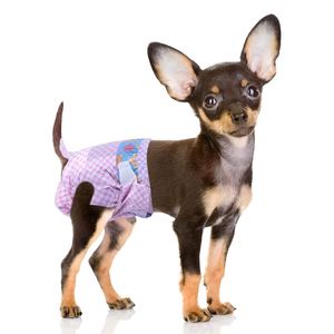 Couches jetables pour chiots super absorbantes, respirantes, à taille élastique réglable, pour l'incontinence et l'humidité - Product Image 1