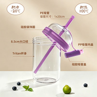 Nouvelle tasse à paille réutilisable écologique en Tritan de 540 ml avec sangle de transport, multicolore, portable pour thé au lait, café, utilisation transfrontalière