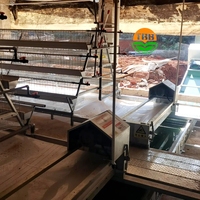 Un type 96 / 120 / 128 / 160 oiseaux 3/4 niveaux cage à poulet de couche automatique pour ferme avicole