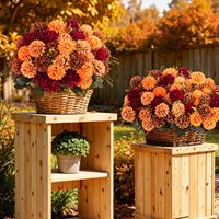 Fleurs artificielles réutilisables et lavables en forme de chrysanthèmes pour barbecue, foyer, salon, banc de jardin, véranda, décoration intérieure