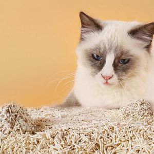 Sin polvo Gris claro Gris oscuro Mijo Tofu Arena para gatos Tofu lechoso Arena para gatos Interplas - Product Image 4