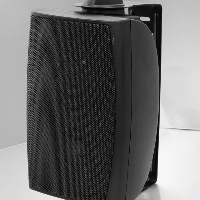 Public Address System Professional 5.25 Inch 30W Music Speaker Customized Audio Plastic Passive Speaker Wall Mounted Speakers