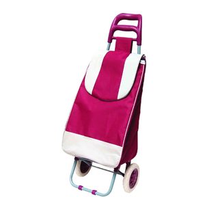 Carrito <span class=keywords><strong>de</strong></span> Compras Plegable <span class=keywords><strong>de</strong></span> Aluminio Barato al por Mayor, Bolsa <span class=keywords><strong>de</strong></span> Mercado con Ruedas, Aislamiento, Retráctil, Desmontable, con 2 Ruedas - Product Image 4